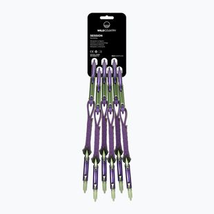 Set de expresuri de cățărare Wild Country Session Quickdraw 6x12 cm purple/green