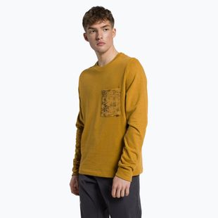Pulover de trekking pentru bărbați Salewa Lavaredo Hemp Pullover maro 00-0000028547