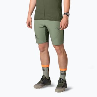 Pantaloni scurți de trekking pentru bărbați DYNAFIT Transalper Light Dynastretch Sage