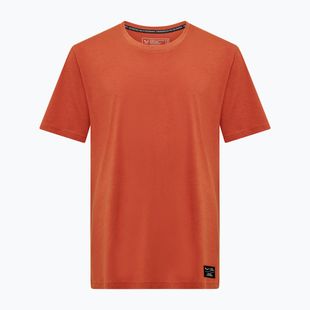 Tricou pentru bărbați Salewa Eagle Logo Patch 7240 bombay brown