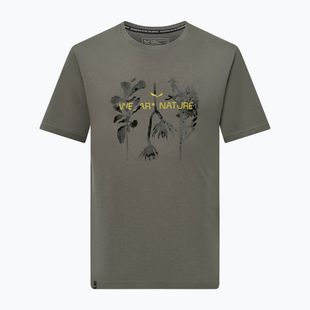 Bărbați Salewa Eagle Nature faded verde T-shirt