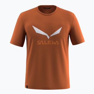 Tricou pentru bărbați Salewa Solidlogo Dry bombay brown