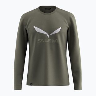 Longsleeve pentru bărbați Salewa Solidlogo Dry faded green