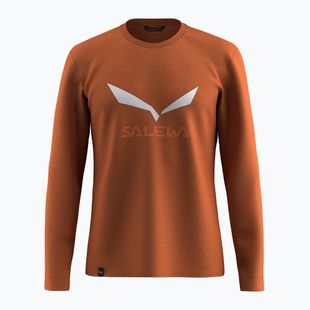 Longsleeve pentru bărbați Salewa Solidlogo Dry bombay brown