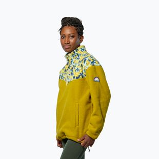 Bluză pentru bărbați Salewa Eagle Anniversary Full Zip olive oil