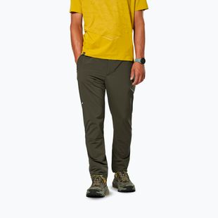 Pantaloni de trekking pentru bărbați Salewa Pedroc 5 DST dark olive