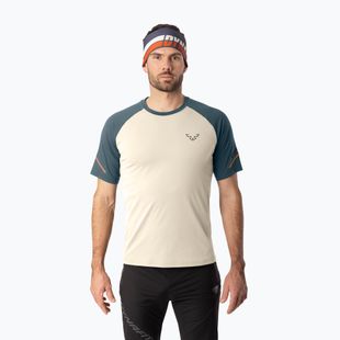Tricou de alergare pentru bărbați DYNAFIT Alpine Pro overcast/0720