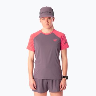 Tricou de alergare pentru femei Dynafit Alpine Pro SS Tee cabana/6A90