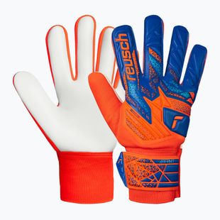 Mănuși de portar Reusch Attrakt Starter Solid shocking orange/blue