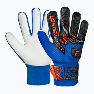 Mănuși de portar pentru copii Reusch Attrakt Starter Solid Junior electric blue/shocking orange