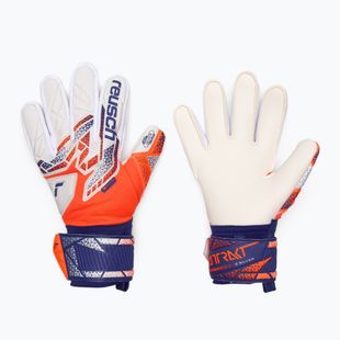 Mănuși de portar Reusch Attrakt Silver shocking orange/energize blue