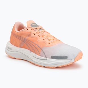 Încălțăminte de alergare pentru femei Puma Velocity Nitro 2 melon/white/grey