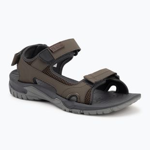 Sandale pentru bărbați Jack Wolfskin Lakewood Cruise cold coffee