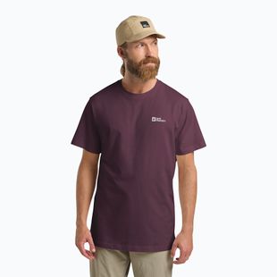 Tricou pentru bărbați Jack Wolfskin Essential amaranth