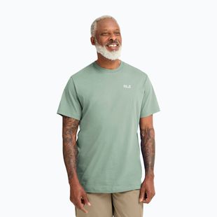Tricou pentru bărbați Jack Wolfskin Essential green zinnia