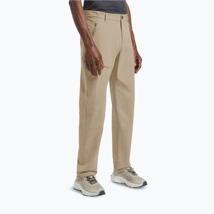 Pantaloni de trekking pentru bărbați Jack Wolfskin Pico Trail hazel wood