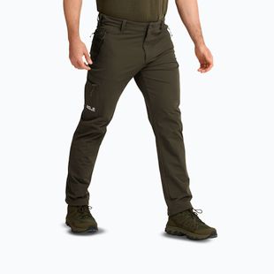 Pantaloni de trekking pentru bărbați Jack Wolfskin Activate Flex obsidian moss