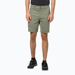 Pantaloni scurți de trekking pentru bărbați Jack Wolfskin Activate Tour verde 1507441
