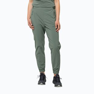 Pantaloni softshell pentru femei Jack Wolfskin Prelight verde 1508111