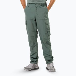 Pantaloni de trekking pentru bărbați Jack Wolfskin Barrier hedge green