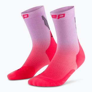 Șosete compresive pentru bărbați CEP Run Edt. Gradient Mid Cut Compression 5.0 pink/lilac fade