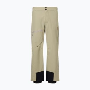 Pantaloni de schi pentru bărbați Descente Light Insulated snow conifer