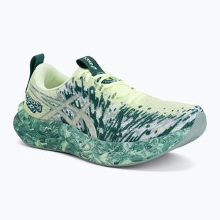 Încălțăminte de alergare pentru bărbați ASICS Noosa Tri 16 illuminate yellow/jewel green