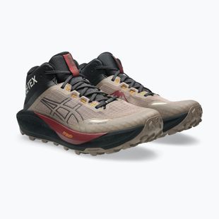 Încălțăminte de alergare pentru bărbați Asics Gel-Trabuco Mt Gtx taupe grey/graphite grey