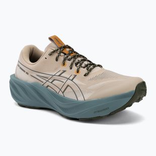 Pantofi de alergare bărbați ASICS Gt-2000 15 TR simply taupe/foggy teal