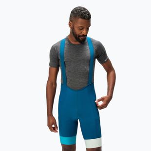 Pantaloni scurți de ciclism pentru bărbați Endura Loop Bibshort barra blue