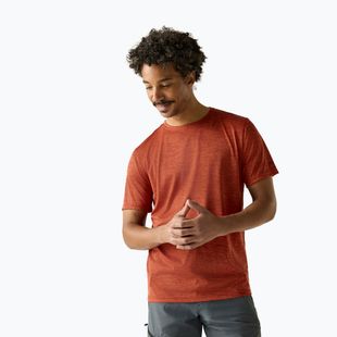Tricou de trekking pentru bărbați REGATTA Fingal Edition rusty orange