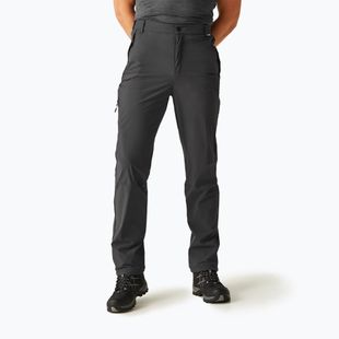 Pantaloni de trekking pentru bărbați REGATTA Travel Light Packaway ash