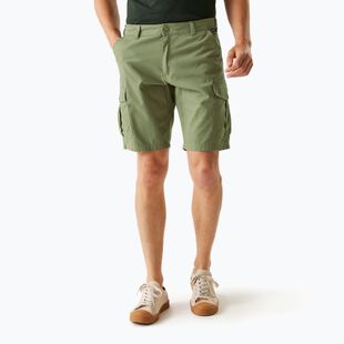 Pantaloni de trekking pentru bărbați REGATTA Ruwan fauna