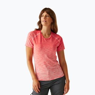 Tricou pentru femei REGATTA Laxley II peach bloom ombre