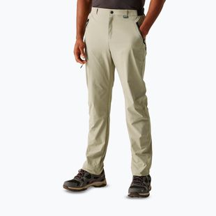 Pantaloni de trekking pentru bărbați REGATTA Travel Light Packaway golden sand