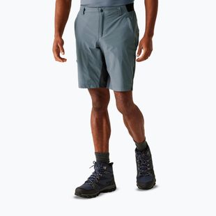 Pantaloni scurți de trekking pentru bărbați REGATTA Eldes stormy weather/ash