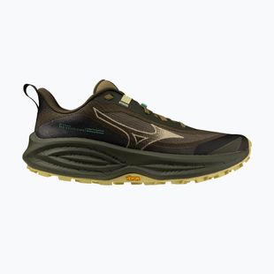 Încălțăminte de alergare pentru femei Mizuno Neo Daichi 10 Gtx forest night/silver fern/beechnut
