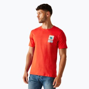 Tricou pentru bărbați  Regatta ClineIX poppy red cool summer