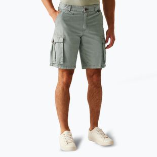 Pantaloni de trekking pentru bărbați REGATTA Shorebay II storm grey