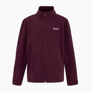 Bluză fleece pentru copii REGATTA King II fig