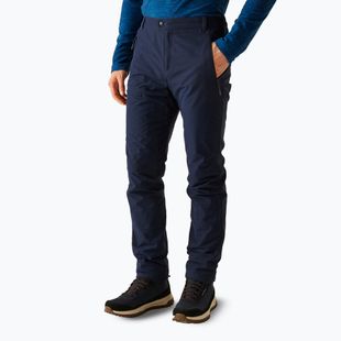 Pantaloni de trekking pentru bărbați REGATTA Highton Winter navy