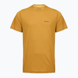 Tricou de trekking pentru bărbați REGATTA Mindoi Anti Insect wood brown