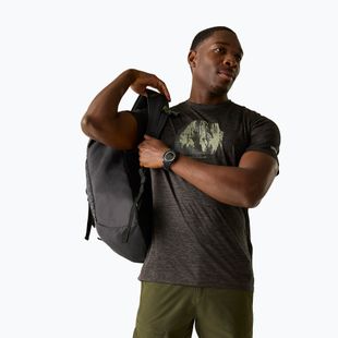 Tricou de trekking pentru bărbați REGATTA Fingal ash marl