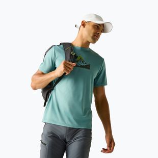 Tricou de trekking pentru bărbați REGATTA Fingal arctic