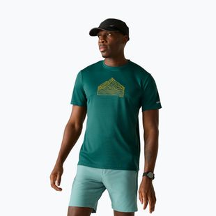 Tricou de trekking pentru bărbați REGATTA Fingal mediterranea
