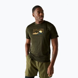 Tricou de trekking pentru bărbați REGATTA Fingal dark khaki marl
