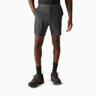 Pantaloni scurți de trekking pentru bărbați REGATTA Anti Insect Travel Light ash