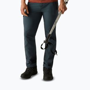 Pantaloni de trekking pentru bărbați REGATTA Highton II night sky