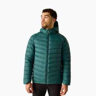 Geacă izolată pentru bărbați Dare 2b Torrek Padded Jacket mediterranea