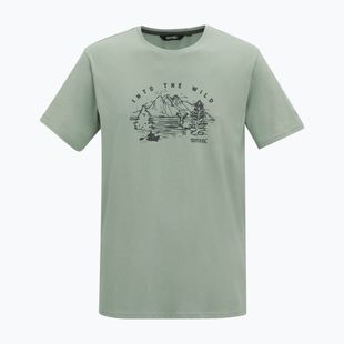 Tricou pentru bărbați Regatta ClineIX glacier wild scene